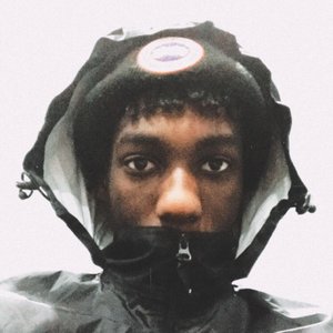 Canadian Goose 2 - EP