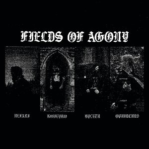 Fields Of Agony 的头像