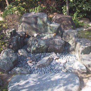 Suikinkutsu Water Chime 的头像
