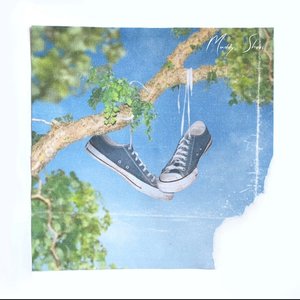 Muddy Shoes