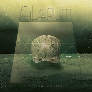 Image pour 'Natural Causes'