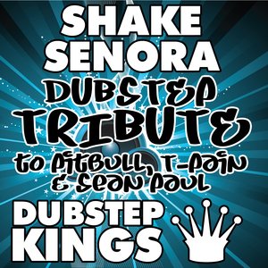 Shake Senora (Dubstep Tribute to Pitbull, T-Pain & Sean Paul)