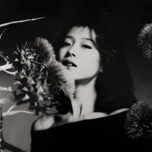Avatar for 中森明菜