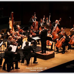 Budapest Failoni Chamber Orchestra 的头像