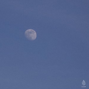 The Piano Forest 피아노의 숲 的头像