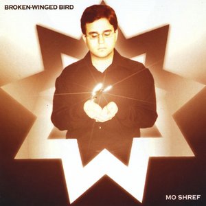 Broken-Winged Bird