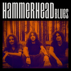 Hammerhead Blues
