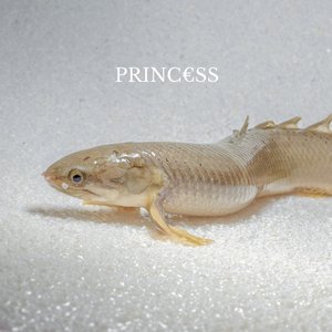 Princ​€​ss 的头像