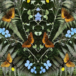 Artwork for Amour