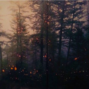 Garden Of Embers