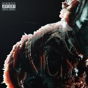 BVDLVD - Whats Up? - Zortam Music