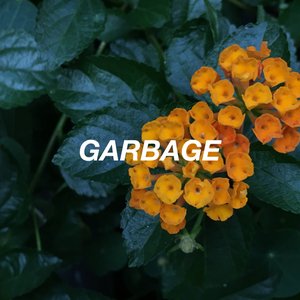 limited garbage