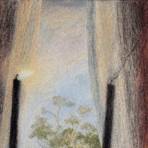 Polly - Single