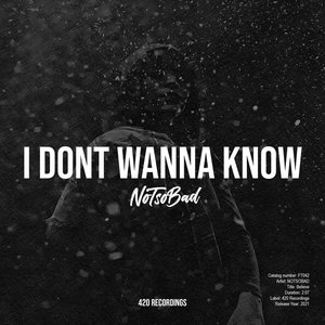 I Don't Wanna Know - Single