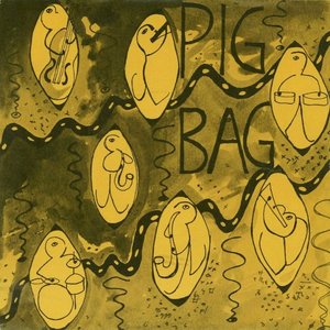 Papa's Got a Brand New Pigbag - Single