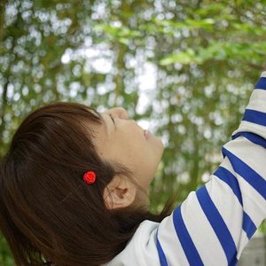 コトリ木 的头像