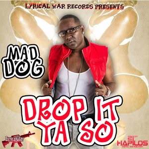 Drop It Ya So - Single