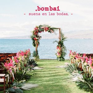 Suena en las Bodas - Single