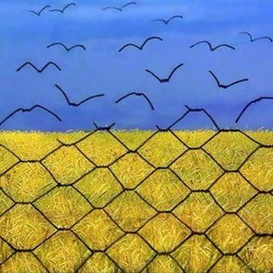 Image for 'Гімн України'