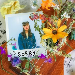 the sorry song