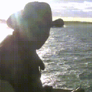 Avatar for Dean Blunt