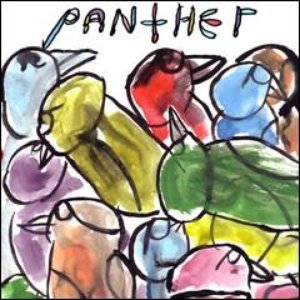 “Panther - The Birds 12" [avm 028]”的封面