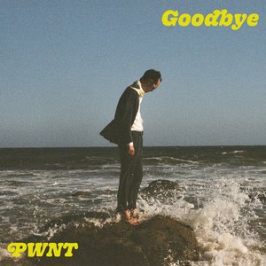 Goodbye - Single