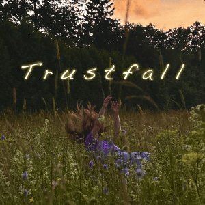 Trustfall