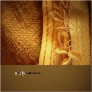 Wake: sleep