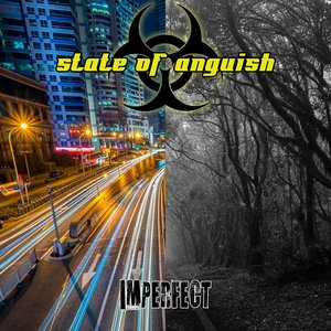 Im Perfect - Single