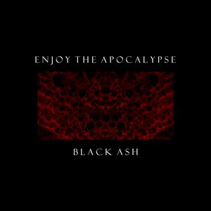 Enjoy the Apocalypse