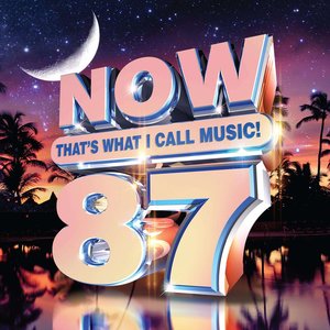 Now That's What I Call Music 87