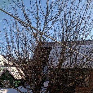 march project