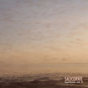 Salicornie: Topofonie Vol. 2