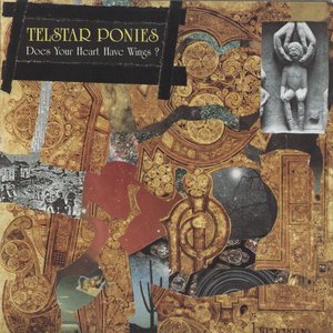 Does Your Heart Have Wings?