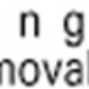 Language Removal Services 的头像