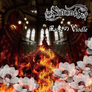 風来のViodle