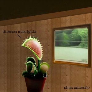 dionaea muscipula