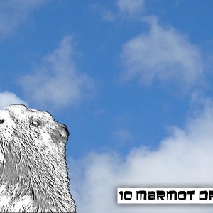 Avatar för 10 Marmot Drive