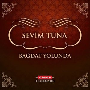 Bağdat Yolunda