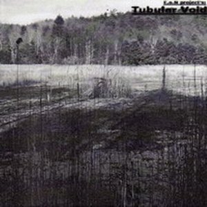 Tubular Void