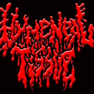 Avatar for Hymeneal Tissue