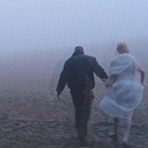 Avatar for Wolf's Angel