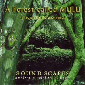 A Forest Called MULU