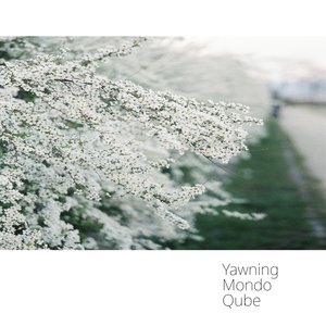 Yawning Mondo Qube