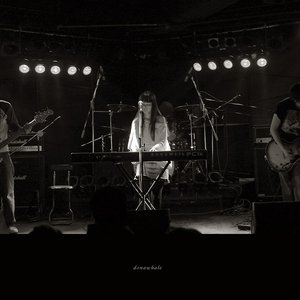 Donawhale 的头像