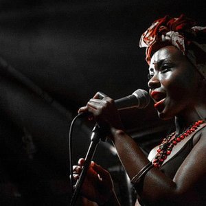 Shola Adisa-Farrar & Florian Pellissier Quintet 的头像