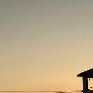 一人でいたい