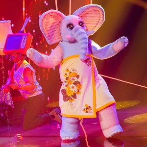 The Masked Singer: Der Frotteefant 的头像