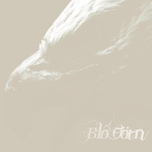 Blóðörn